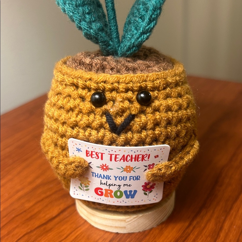 Handcrafted Crochet Flower Pot Decor